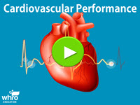 Cardiovascular Performance