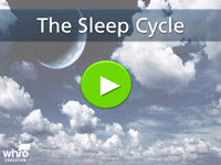 The Sleep Cycle