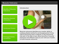 Muscular Endurance