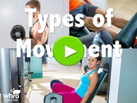 Types of Movement