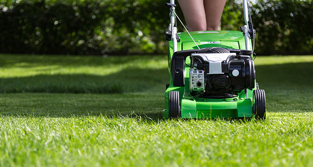 Mowing the lawn