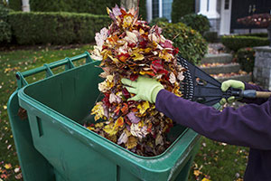 Yard Work