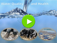 Water Quality and Health