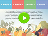 Fat-Soluble Vitamins