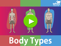 Body Types Interactivity