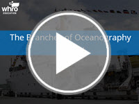 The Branches of Oceanography Review Interactivity