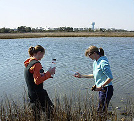 Researchers Taking Core Samples of a Marsh