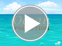 Ocean Pollution Interactivity