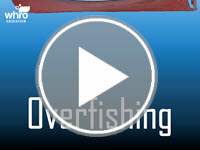 Overfishing Review