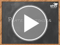 Plate Tectonics Interactivity