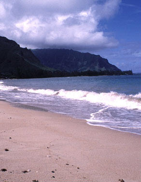 Image of beach and ocean.