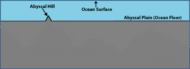 Graphic showing abyssal plain and sediments.