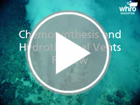 Chemosynthesis and Hydrothermal Vents Review