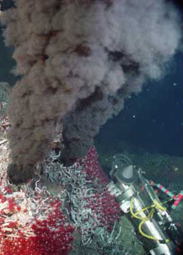 hydrothermal vent