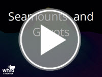 Seamounts and Guyots Interactivity