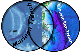 Venn diagram graphic.