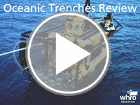 Oceanic Trenches Review Interactivity