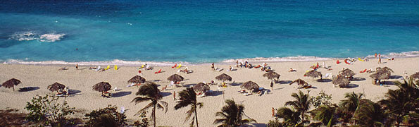 tropical beach with people sunbathing