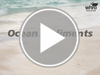 Ocean Sediments Interactivity