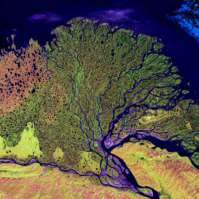 Lena River delta from space