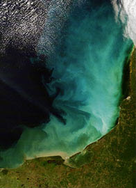 sediment off the Yucatan Peninsula