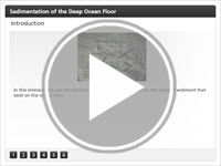 Sedimentation of the Deep Ocean Floor Interactivity