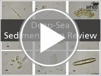 Deep-Sea Sedimentation Review