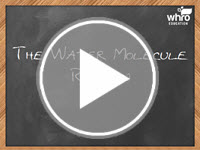 The Water Molecule Review Interactivity