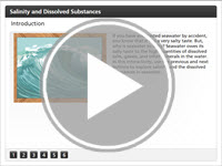 Salinity and Dissolved Substances Interactivity