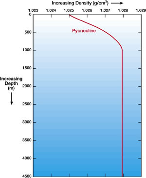 Pycnocline Layers - Density Depth Relationship