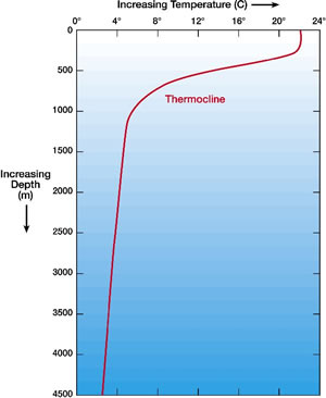 Thermocline Layers - Temperature Depth Relationship