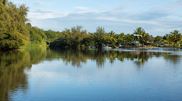 An estuary