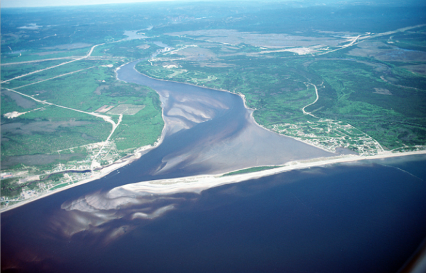 River Delta