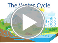 The Water Cycle Interactivity