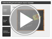 Understanding pH and Carbonic Acid in Seawater Interactivity