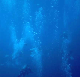 Carbon dioxide bubbles from divers