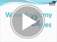 Anatomy of a Wave Review Interactivity