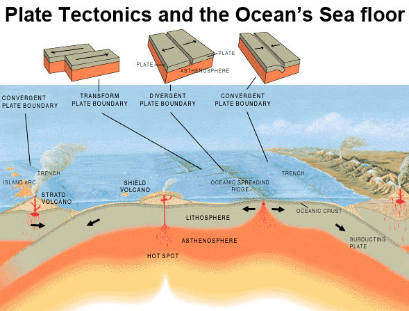 Plate Tectonics and the Sea floor