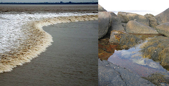 tidal bore and tidal pool