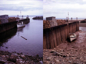 Bay of Fundy tides