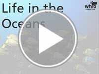 Life in the Oceans