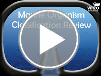 Marine Organism Classification Review Interactivity