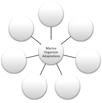 graphic organizer