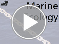 Marine Ecology