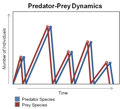 Predator-Prey graph