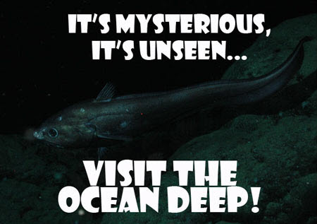 ocean deep advertisement