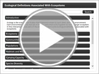 Ecology Terms and Definitions Interactivity