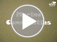 Marine Communities Interactivity