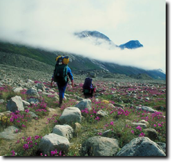 Two people hiking