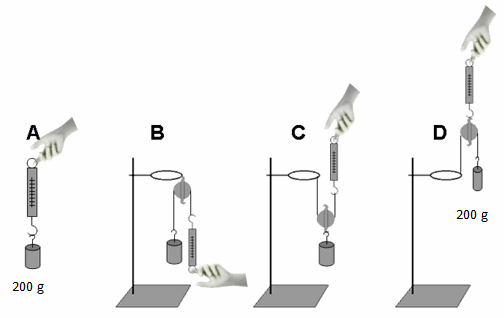 question 7 image